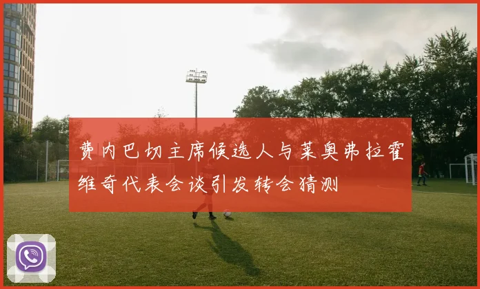 费内巴切主席候选人与莱奥弗拉霍维奇代表会谈引发转会猜测